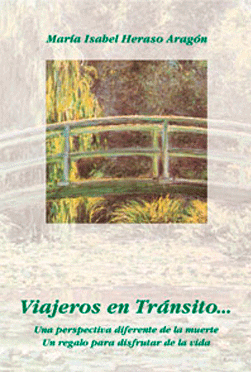 VIAJEROS EN TRANSITO