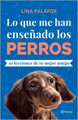 LO QUE ME HAN ENSEÑADO LOS PERROS