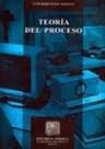 TEORIA DEL PROCESO
