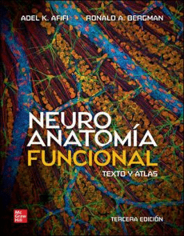 NEURO ANATOMIA FUNCIONAL