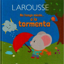 NO TENGO MIEDO A LA TORMENTA