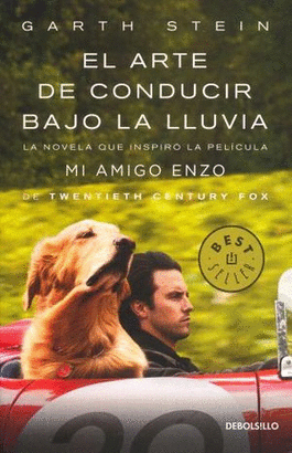 EL ARTE DE CONDUCIR BAJO LA LLUVIA