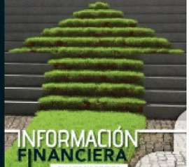 INFORMACION FINANCIERA EN LOS NEGOCIOS