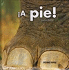 A PIE ( CON SOLAPAS)