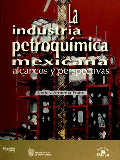 INDUSTRIA PETROQUIMICA MEXICANA