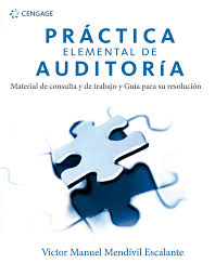 PRACTICAS ELEMENTAL DE AUDITORIA