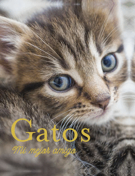 GATOS MI MEJOR AMIGO