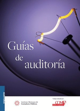 GUÍAS DE AUDITORÍA. VERSIÓN PROFESIONAL