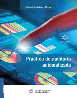 PRÁCTICA DE AUDITORÍA AUTOMATIZADA 2021