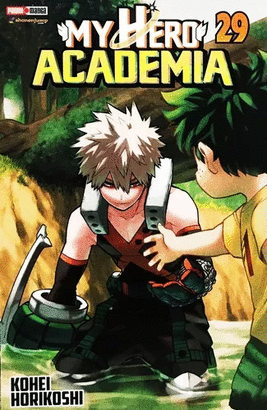 MY HERO ACADEMIA #29