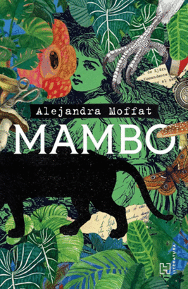 MAMBO