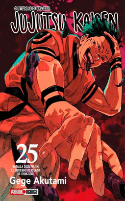 JUJUTSU KAISEN #25