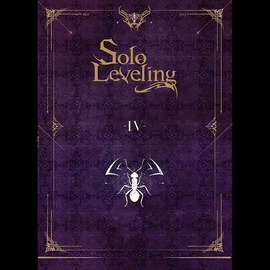SOLO LEVELING NOVELA #4