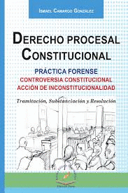DERECHO PROCESAL PRACTICA FORENSE