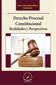 DERECHO PROCESAL CONSTITUCIONAL REALIDADES Y PERSPECTIVAS