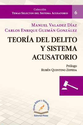 TEORIA DEL DELITO Y SISTEMA ACUSATORIO 6