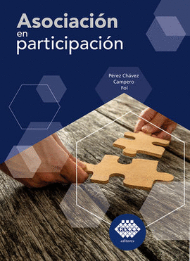 ASOCIACIÓN EN PARTICIPACIÓN 2023
