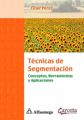 TECNICAS DE SEGMENTACION