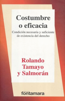 COSTUMBRE O EFICACIA, CONDICION NECESARIA Y SUFICIENTE DE EXISTENCIA DEL DERECHO