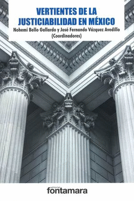 VERTIENTES DE LA JUSTICIABILIDAD EN MÉXICO