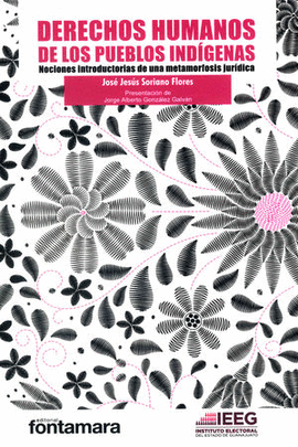 DERECHOS HUMANOS DE LOS PUEBLOS INDÍGENAS