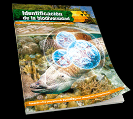 IDENTIFICACION DE LA BIODIVERSIDAD