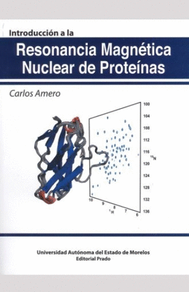 RESONANCIA MAGNETICA NUCLEAR DE PROTEINAS