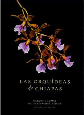 LAS ORQUIDEAS DE CHIAPAS
