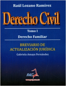 DERECHO CIVIL TOMO I