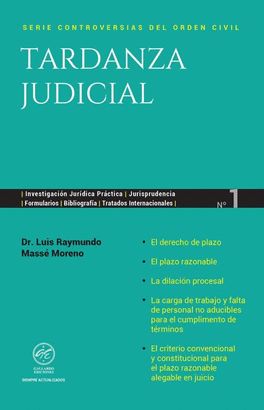 TARDANZA JUDICIAL 2025