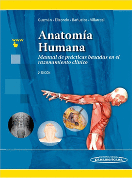 ANATOMÍA HUMANA