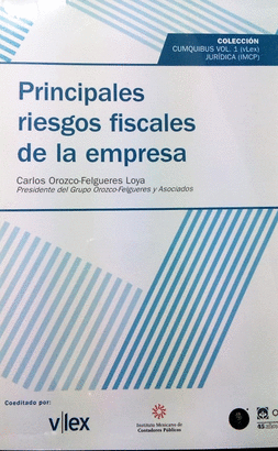 PRINCIPALES RIESGOS FISCALES DE LA EMPRESA