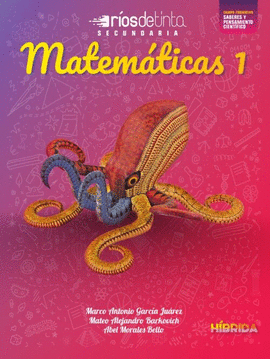MATEMÁTICAS 1 SEC HÍBRIDA