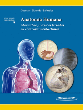 ANATOMIA HUMANA