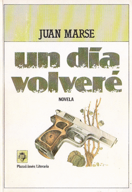 UN DIA VOLVERE