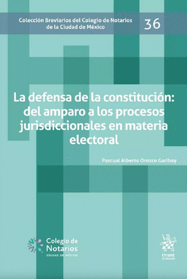 DEFENSA DE LA CONSTITUCIÓN: DEL AMPARO A LOS PROCESOS JURIDICCIONALES EN LA MATERIA ELECTORAL