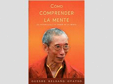 COMO COMPRENDER LA MENTE