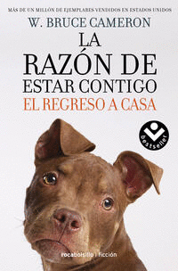 LA RAZÓN DE ESTAR CONTIGO 3 - EL REGRESO A CASA