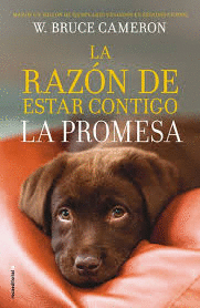 LA PROMESA (LA RAZON DE ESTAR CONTIGO)