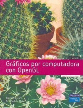 INTRODUCCION A LA GRAFICACION POR COMPUTADOR