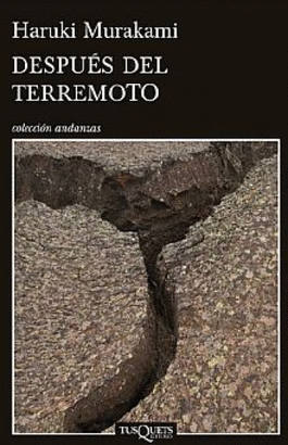 DESPUES DEL TERREMOTO