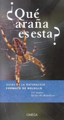 ¿QUE ARAÑA ES ESTA? - GUIAS DE LA NATURALEZA