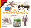 LOS INVERTEBRADOS  GUIAS DE CAMPO