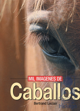 MIL IMAGENES DE CABALLOS