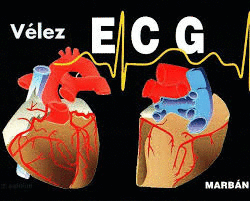 ECG 2°EDIC.BOLSILLO