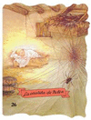 LA ARAÑITA DE BELEN (TROQ N° 26)