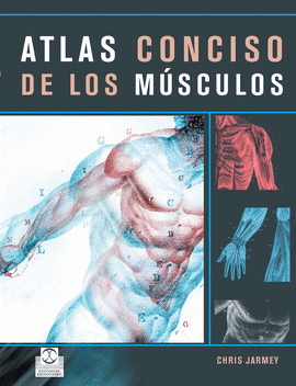 ATLAS CONCISO DE LOS MUSCULOS