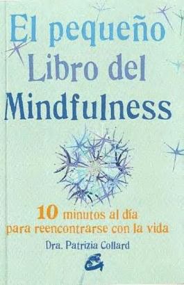 EL PEQUEÑO LIBRO DE MINDFULNESS