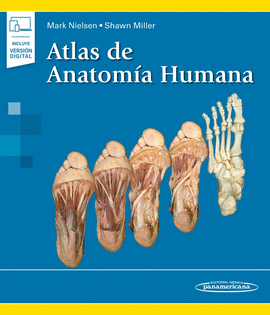 ATLAS DE ANATOMIA HUMANA