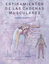 ESTIRAMIENTOS DE LAS CADERAS MUSCULARES